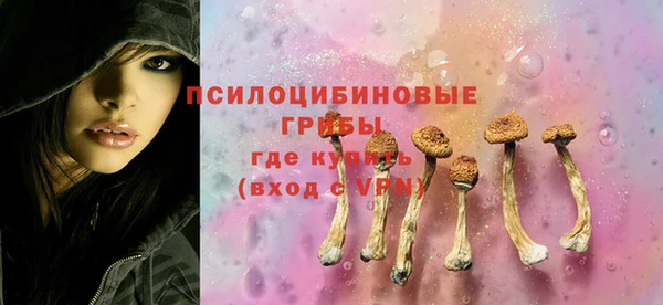 твердый Абаза